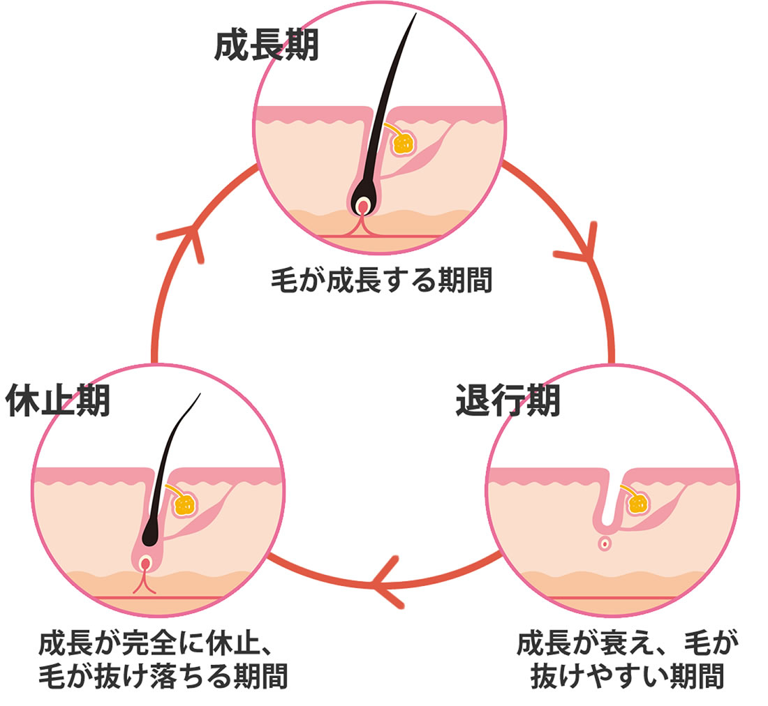医療脱毛