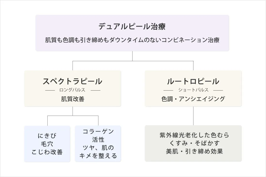 スペクトラ・ルートロピール
